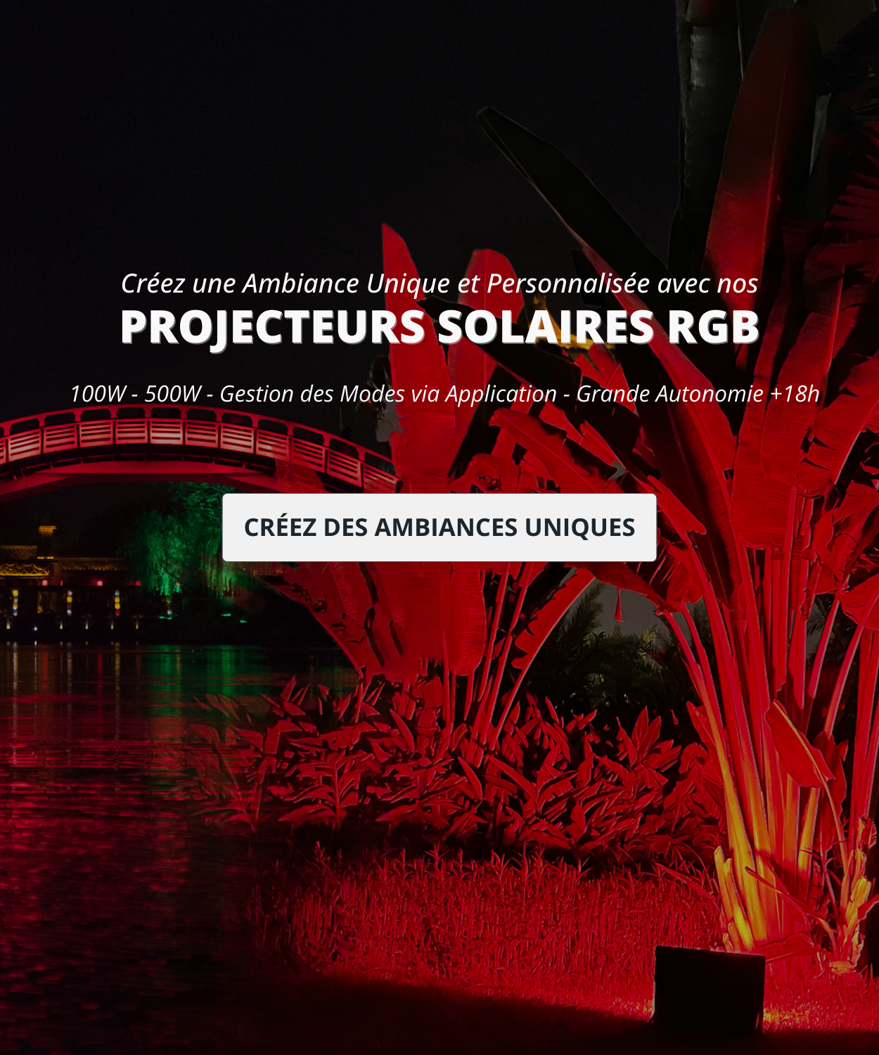 amenagement-de-jardin-solaire-chicled